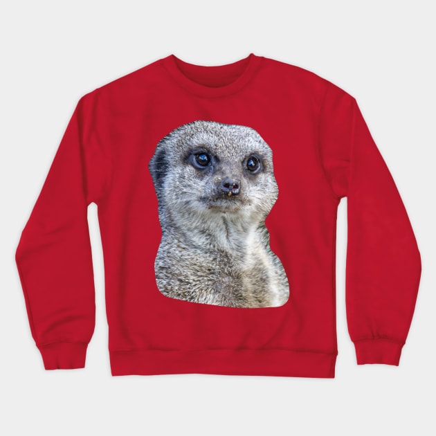 Who you looking at! Meerkat Crewneck Sweatshirt by dalyndigaital2@gmail.com